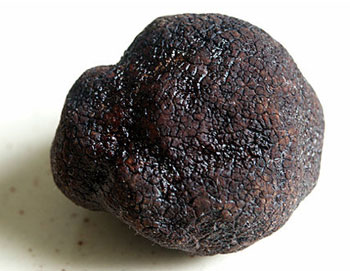 blacktruffle