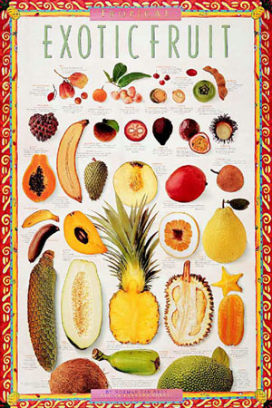 lextropfruit.jpg