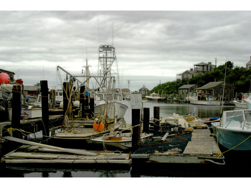 Marthasvineyard01