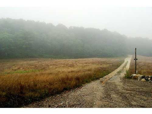 Marthasvineyard03