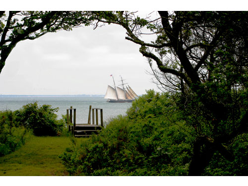 Marthasvineyard08