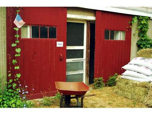 Marthasvineyard09