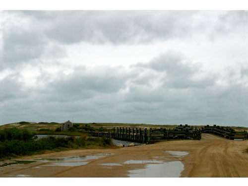 Marthasvineyard10