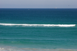 palmbeach.jpg