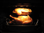 spaceturkey.jpg