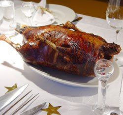 christmas goose