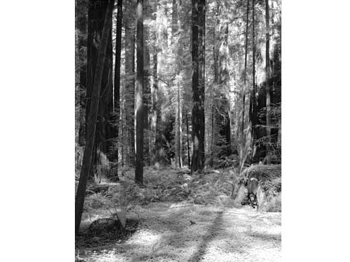 Land2