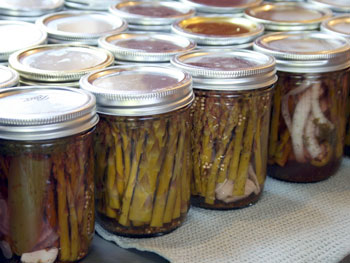 asparagus-pickling-047b-1024x682