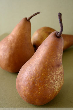 boscpears.jpg