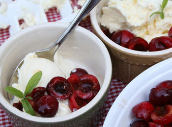 lemon_verbena_frozen_custard_009.jpg