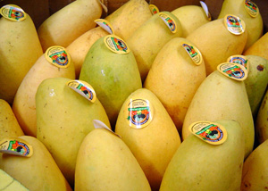 mangos_013.jpg
