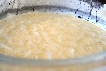 sourdough-starter-006b-1024x682.jpg
