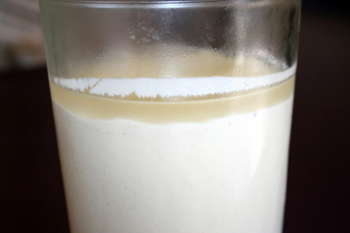 sourdough-starter-009b-1024x682.jpg