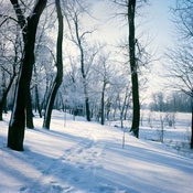 winter.jpg