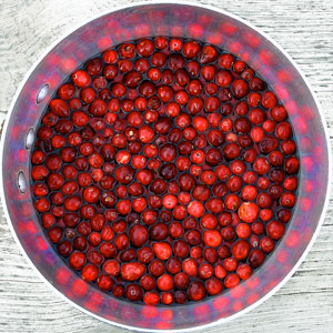 cranberries.jpg
