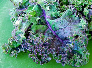 kale.jpg