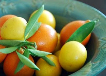 lemonquatorangequatbowl