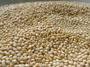 quinoa.jpg
