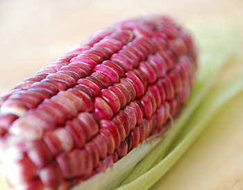 redcorn