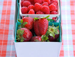 strawberry2.jpg