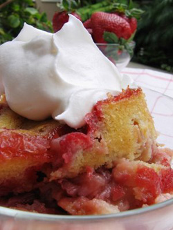 strawberryrhubarb1.jpg