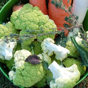 broccoflower.jpg