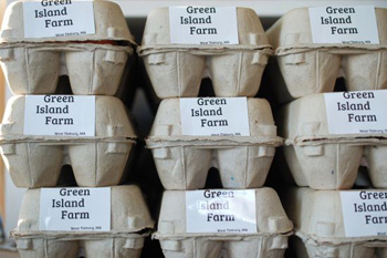 eggcartons