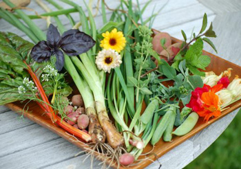 gardenveg