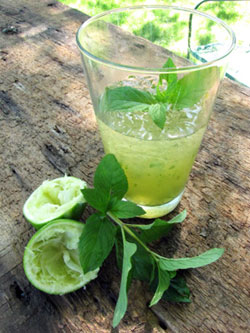 mintapple-drink.jpg