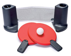 portable-ping-pong-l