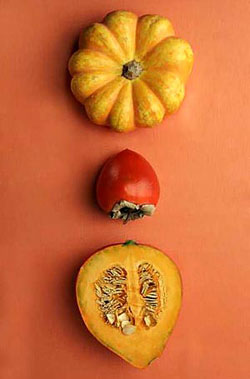 pumpkins.jpg