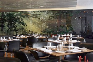 The Bar Room at The Modern: Not Just Any Cafe
