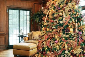 Oh Christmas Tree