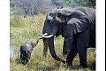 Africa02