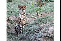 Africa10