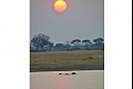 Africa11