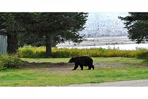My Visit to Juneau