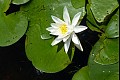 Aroundlake04