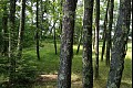 Aroundlake07