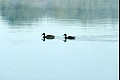 Aroundlake14