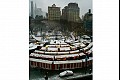 Brooklyn05
