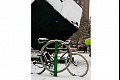 Brooklyn06