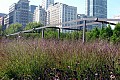 Chicago07