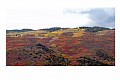 Colorado01