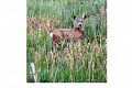 Colorado09