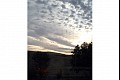 Colorsfall04