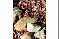 Colorsfall05