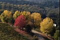 Colorsfall09