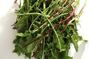 Dandelions for dinner? A weed by any other name...