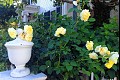 Edgartown06